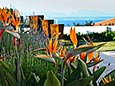 garden-&-ocean-view