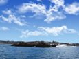 seal-island